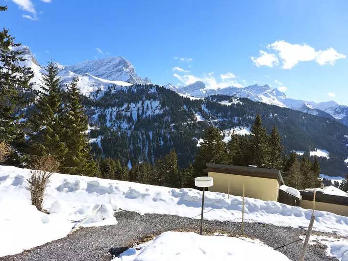 Appartement entier, 3 Pièces 4 Personnes in Gryon, Alpes Vaudoises