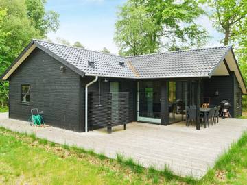 Ferieudlejning til 8 Personer i Ellinge Lyng, Vig, Billede 1