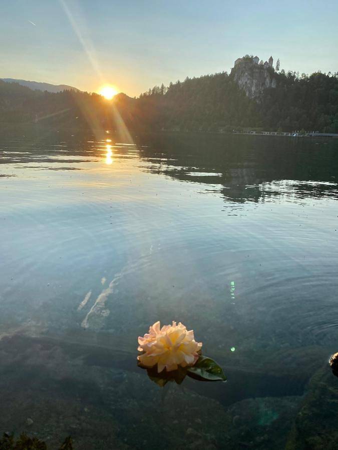 Cały apartament, Two-Bedroom Apartment in Bled, Park Narodowy Triglav