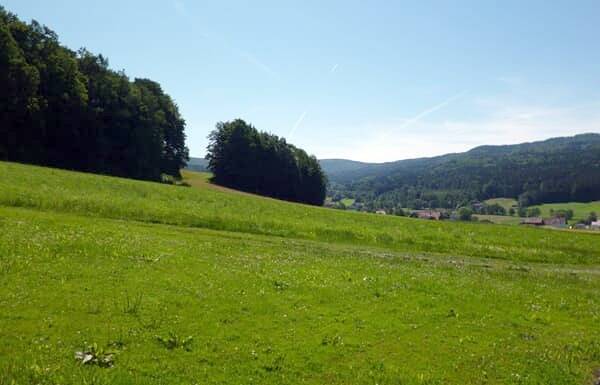 Ferienhaus für 6 Personen, mit Terrasse und Garten, mit Haustier in Landkreis Cham - 2