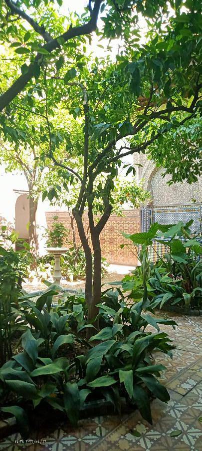 Chambre d’hôte pour 4 personnes, avec jardin et terrasse à Marrakech - 3