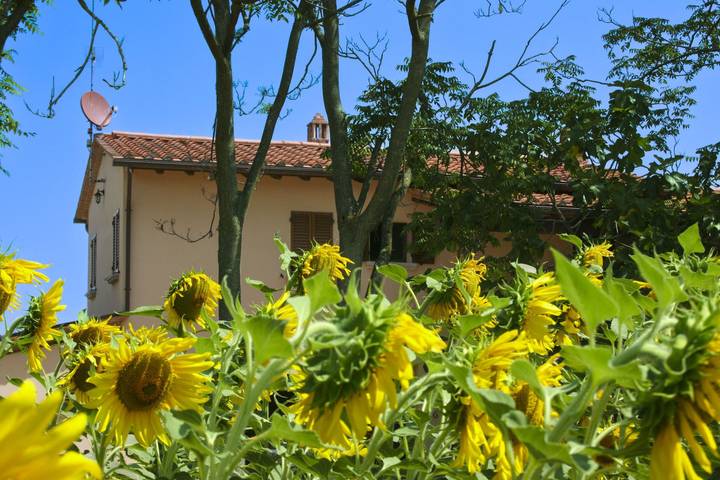 Il Viaggiolo in Foiano della Chiana, Provincia di Arezzo