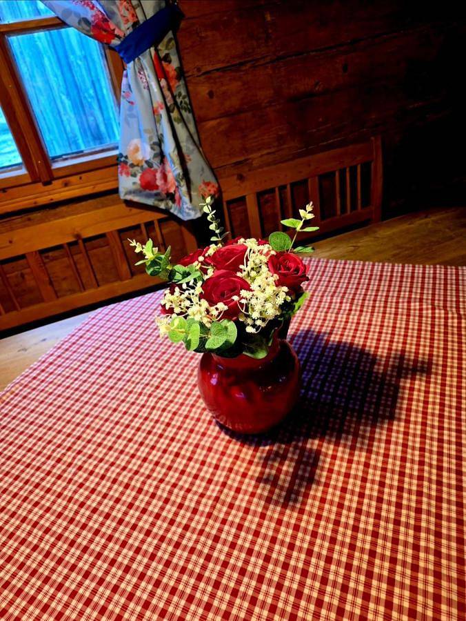 Ferienhaus für 4 Personen, mit Pool und Ausblick sowie Garten, mit Haustier in Abtenau - 3