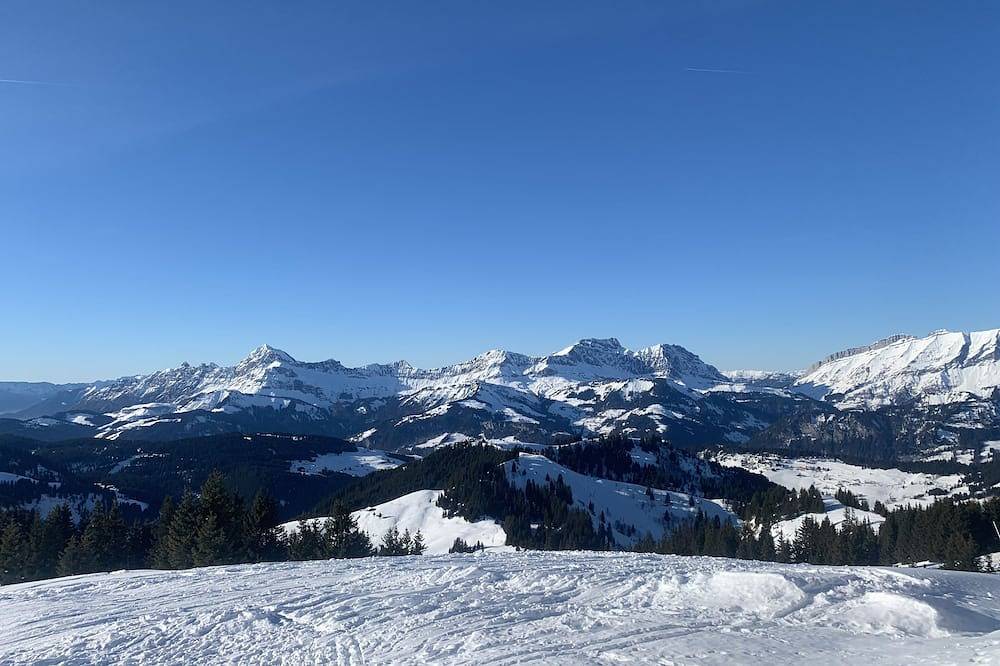 High-end chalet of 320 m2 sleeps 18 with spa in Notre-Dame-de-Bellecombe, Région d'Albertville