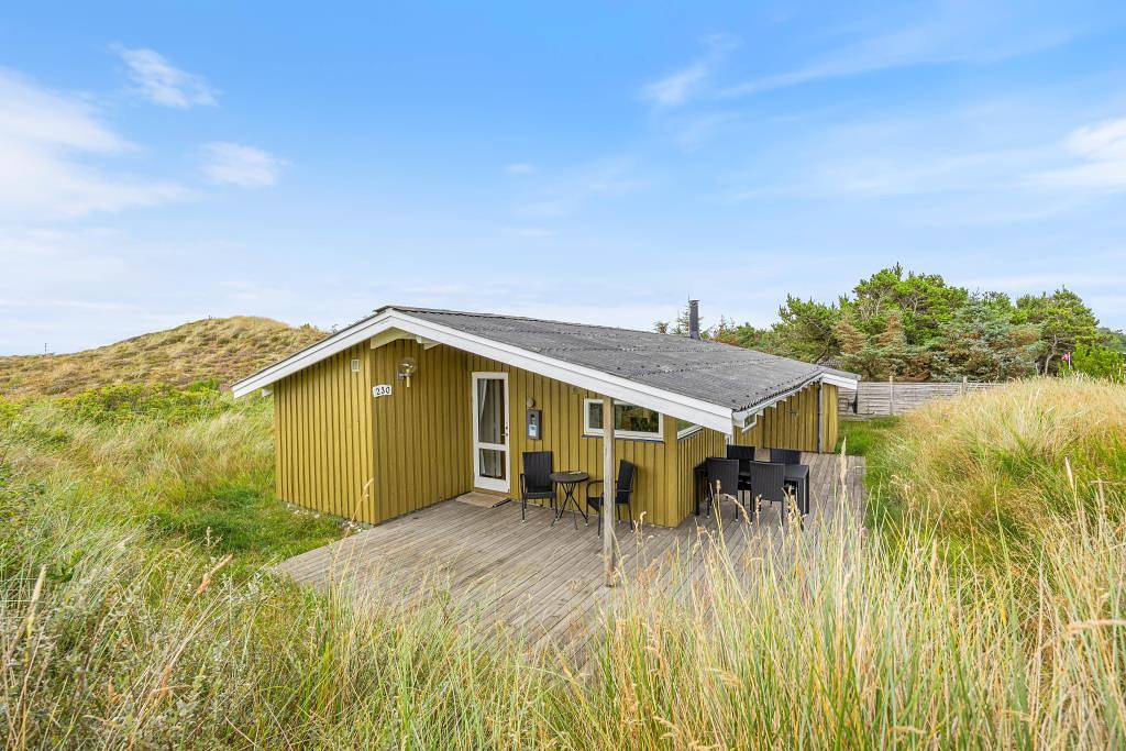 Klassisches Ferienhaus für 5 Personen und 2 Hunde in Bjerregård, Holmsland Klit