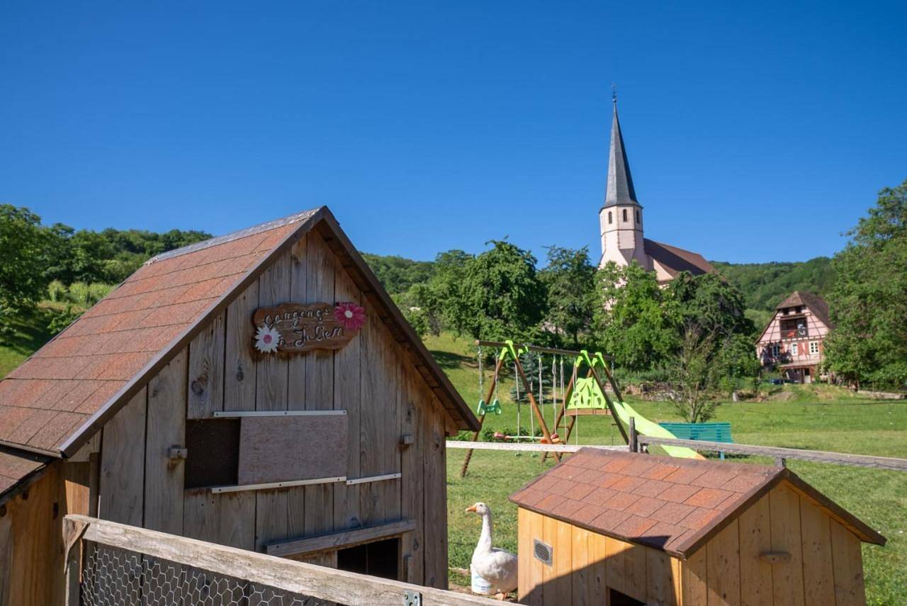 Appartement entier, Résidence Froehn in Andlau, Région de Sélestat-Erstein