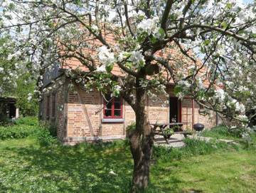 Ferienhaus für 5 Personen, mit Garten und Terrasse, kinderfreundlich in Moltzow