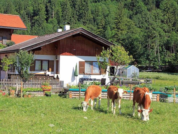 Ferienhaus für 4 Personen, mit Terrasse und Garten in Ettal - 2