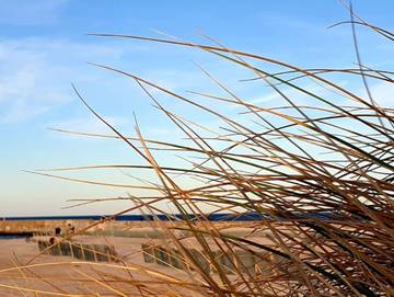 Ferienwohnung für 2 Personen in Warnemünde Strand, Warnemünde, Bild 2