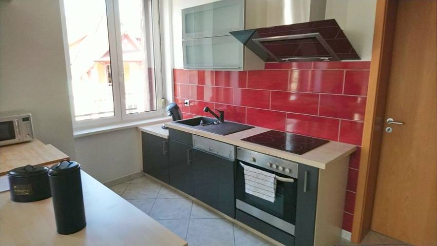 Location de vacances pour 9 personnes, avec vue, animaux acceptés à Masevaux - 4