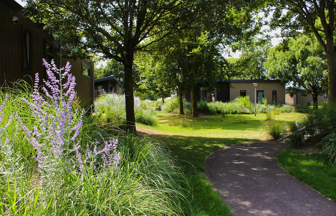 Maaspark De Lithse Ham — Rivierlodge 4p. in Noord-Brabant