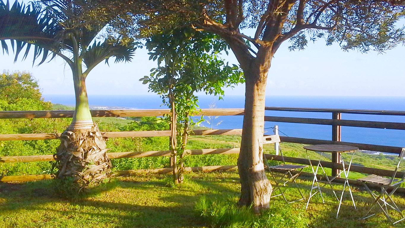 La Maison Zen : nature, calme, vue océan 180° in Saint-Leu, Île de la Réunion