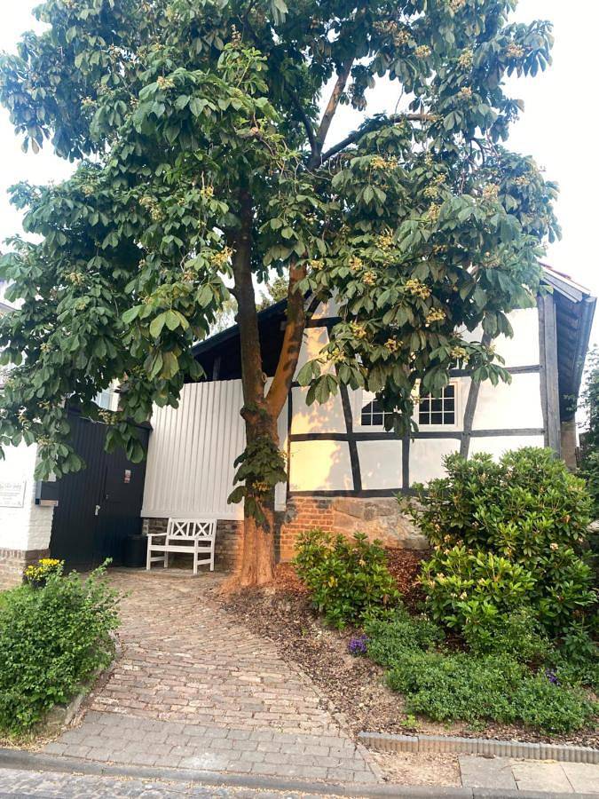 Ferienwohnung für 2 Personen, mit Ausblick und Terrasse in Bornheim - 4