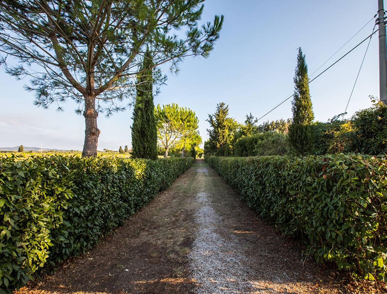 Ferienhaus 'Podere Simonetta - A10' mit Gemeinschaftspool, Privatterrasse und Wlan in Cecina, Etruskische Küste