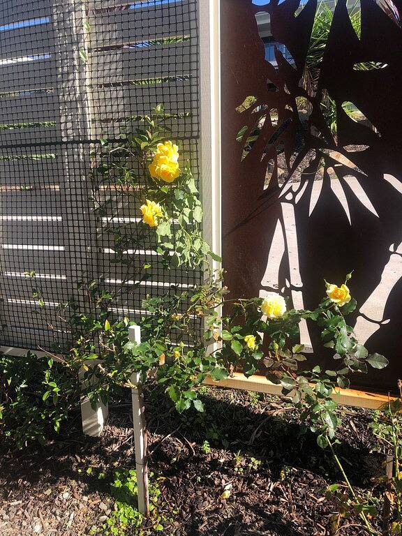 Gîte pour 2 personnes, avec balcon ainsi que jacuzzi et jardin dans Australie - 2