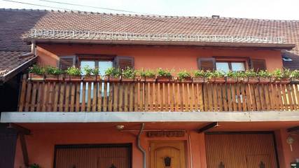 Gîte pour 4 personnes, avec terrasse à Mittelwihr