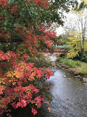 Cottage for 5 Guests in Bartlett, White Mountain National Forest, Picture 4