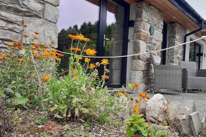 Cozy, comfortable cottage on an alpaca farm in Comté de Wicklow