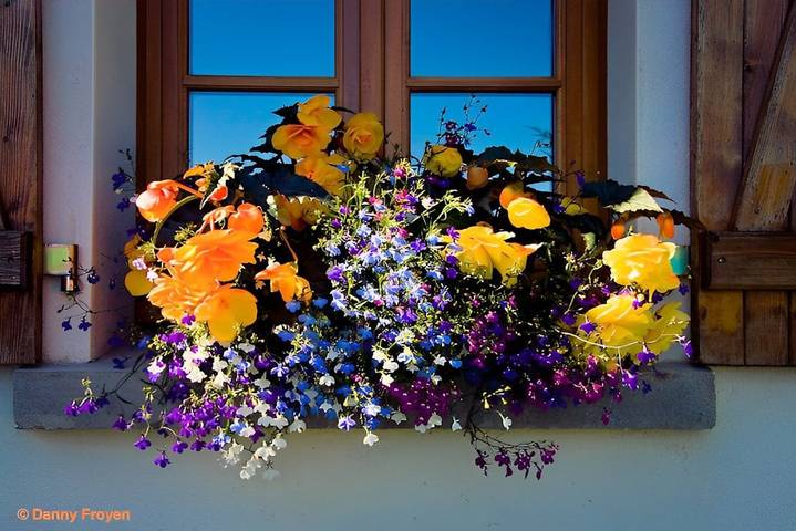 Chambre d’hôte pour 2 personnes, avec jardin dans Parc naturel régional des Volcans d'Auvergne - 2