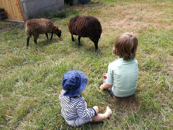 Location de vacances pour 4 personnes, avec jardin, animaux acceptés à Questembert - 2