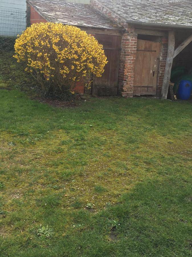 Location de vacances pour 6 personnes, avec jardin et terrasse à La Ferté-Beauharnais - 4