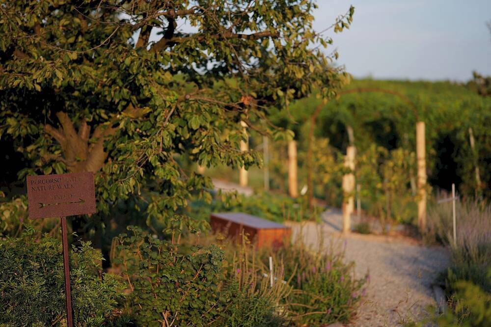 Ganze Wohnung, Bricco delle Viole - Vineho in the Langhe with breakfast in Barolo, Langhe