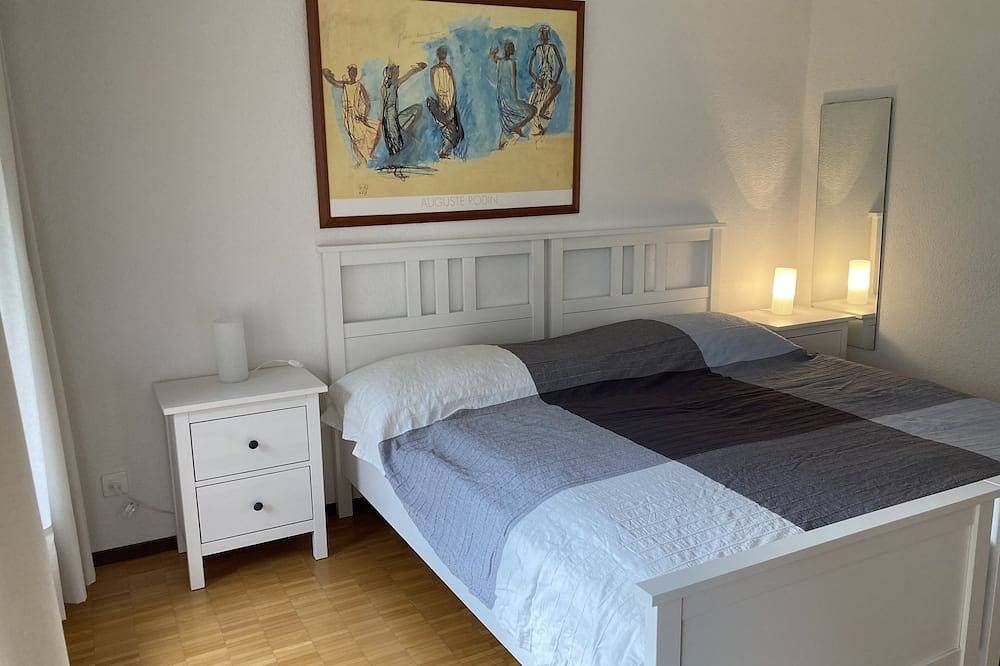 Ganze Wohnung, Helle grosse 1 Zimmerwohnung mit Balkon in Aargau-Basel