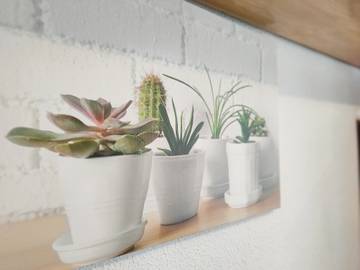 Apartamento para 5 Personas en Canet de Berenguer, Costa de Valencia, Foto 3