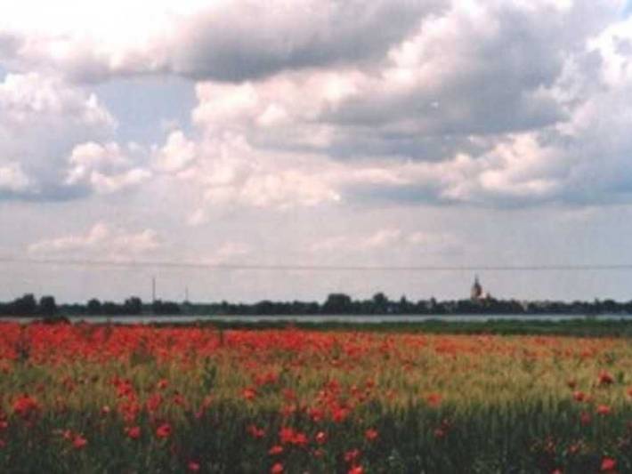 Ganze Ferienwohnung, Ferienwohnung Tegge - Ferienwohnung in Welzin, Usedom Stadt