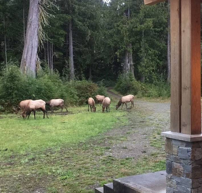 Ferienhaus für 8 Personen, mit Whirlpool und Balkon in British-Columbia
