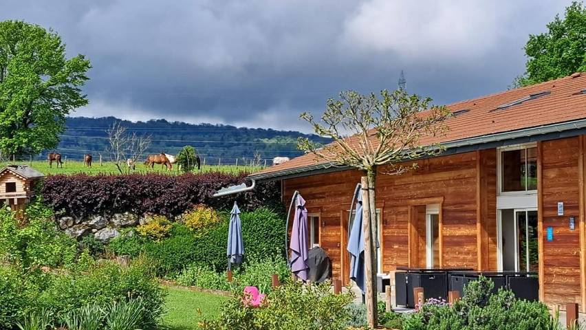 Maison d’hôte pour 6 personnes, avec jardin et vue, animaux acceptés en Haute-Savoie - 3