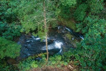 Log Cabin for 7 Guests in Blue Ridge Mountains, North Carolina, Picture 1