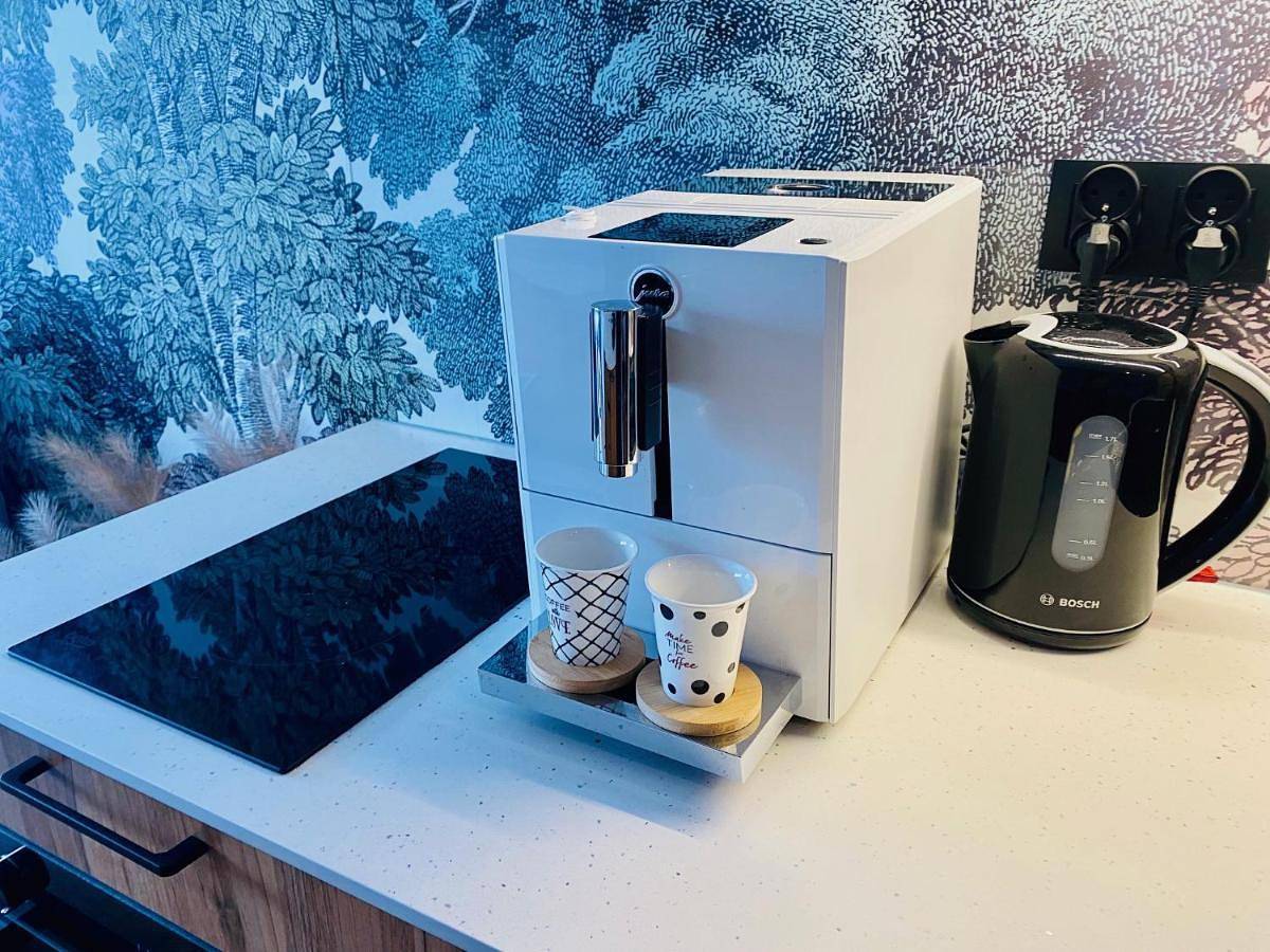 Cały apartament, Apartament N&B in Szklarska Poręba, Sudety (Polska)