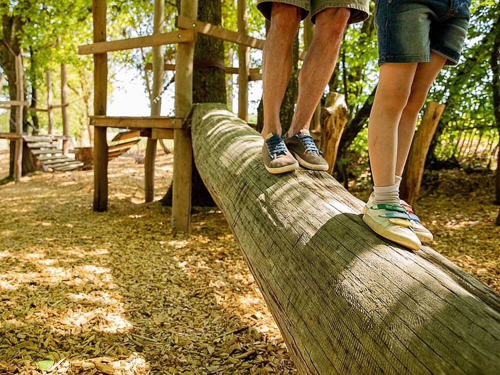 Hubertushof Eifel - Falke in Schönbach, Vulkaneifel