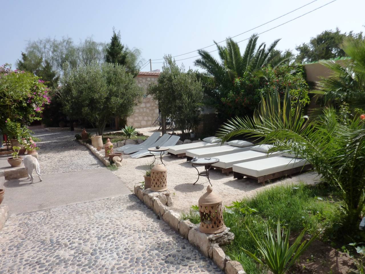 4 couchages, clim, chauffage, télé, frigo, piscine, petit dejeuner inclus in Marrakech-Safi