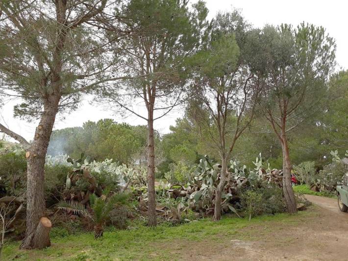 Location de vacances pour 4 personnes, avec vue et jardin à Ustica - 4