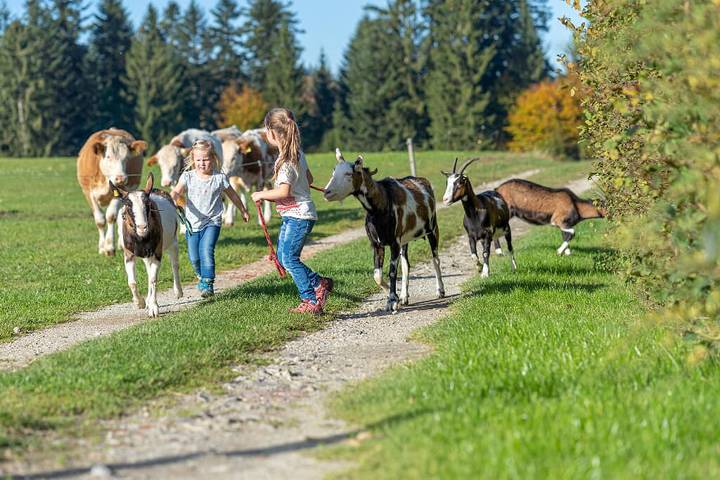 Ferienwohnung für 5 Personen, mit Garten in Passauer Land - 4