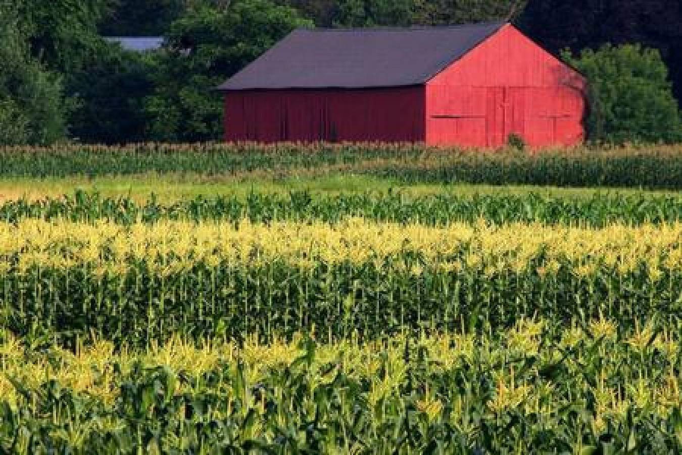 Vakantiehuis voor 10 Personen in Massachusetts, Verenigde Staten