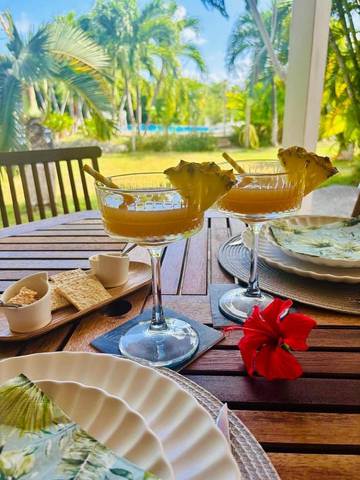 Chambre d’hôte pour 4 personnes, avec jardin et piscine, animaux acceptés à Saint-François