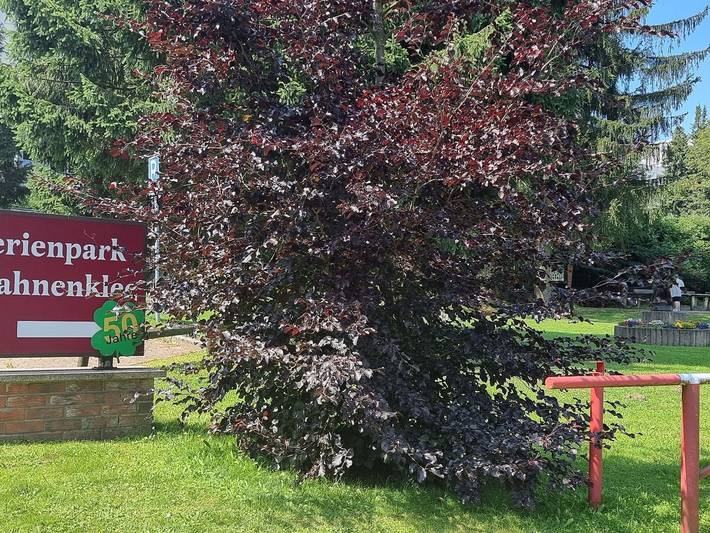 Ferienpark für 4 Personen, mit Balkon - 1