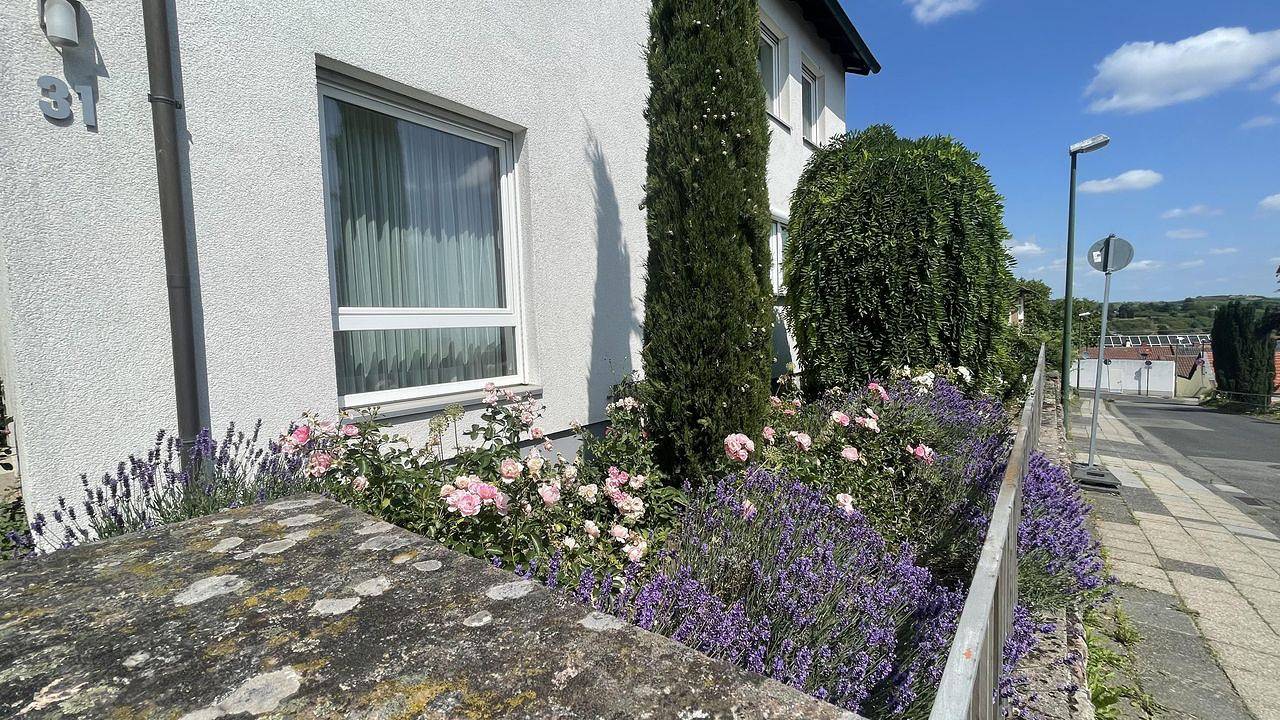 Ferienhaus für 5 Personen (160 m²) in Bad Dürkheim in Bad Dürkheim, Pfälzer Rheinebene