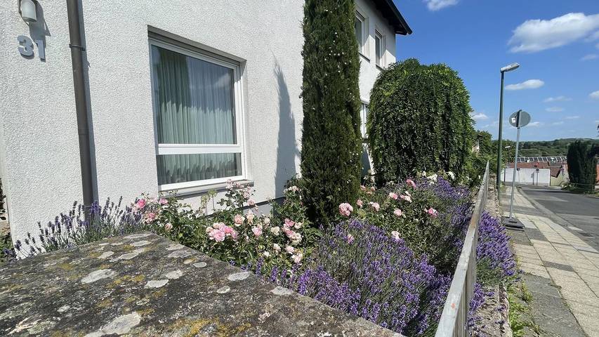 Ferienhaus für 5 Personen, mit Garten im Pfälzer Wald - 4