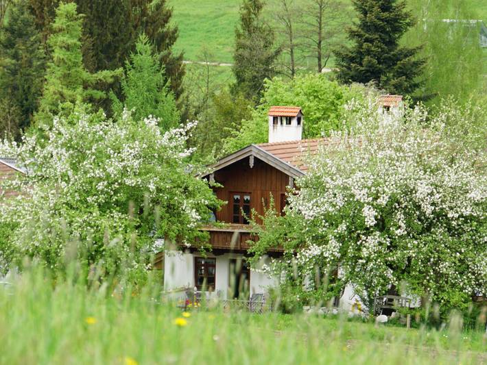 Ganze Ferienwohnung, Ferienwohnung Schmidmayer - Ferienwohnung, 28 qm Halbgeschoss, kombinierter Wohn- und Schlafraum in Antwort, Bad Endorf