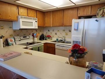 Beach Rental for 6 Guests in South Padre Island, Padre Island, Picture 4