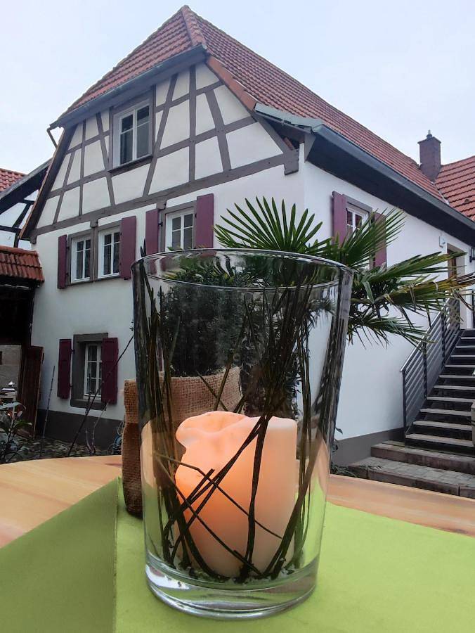 BnB für 2 Personen, mit Terrasse in Rheinland-Pfalz - 3