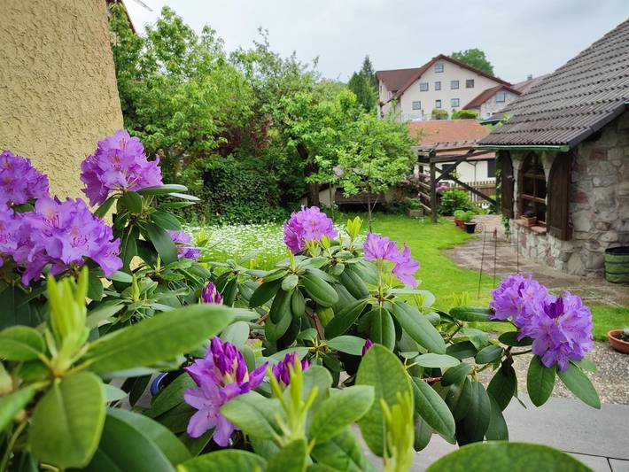 Apartamento vacacional entero, Apartment, shower or bath, toilet, 1 bed room in Hilders, Rhön-Hessen