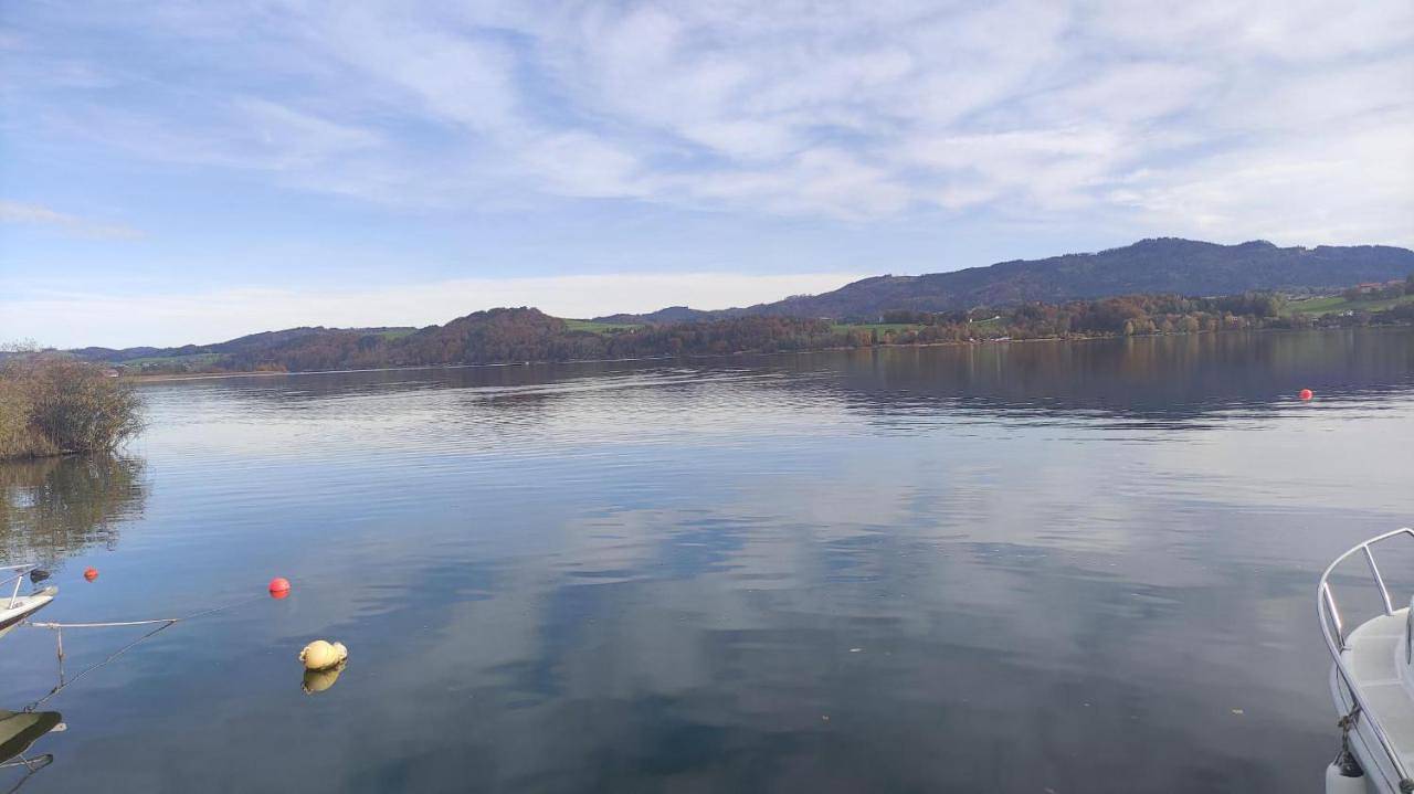 Glamping Wallersee - Unter dem Kastanienbaum in Seekirchen am Wallersee, Bezirk Salzburg-Umgebung