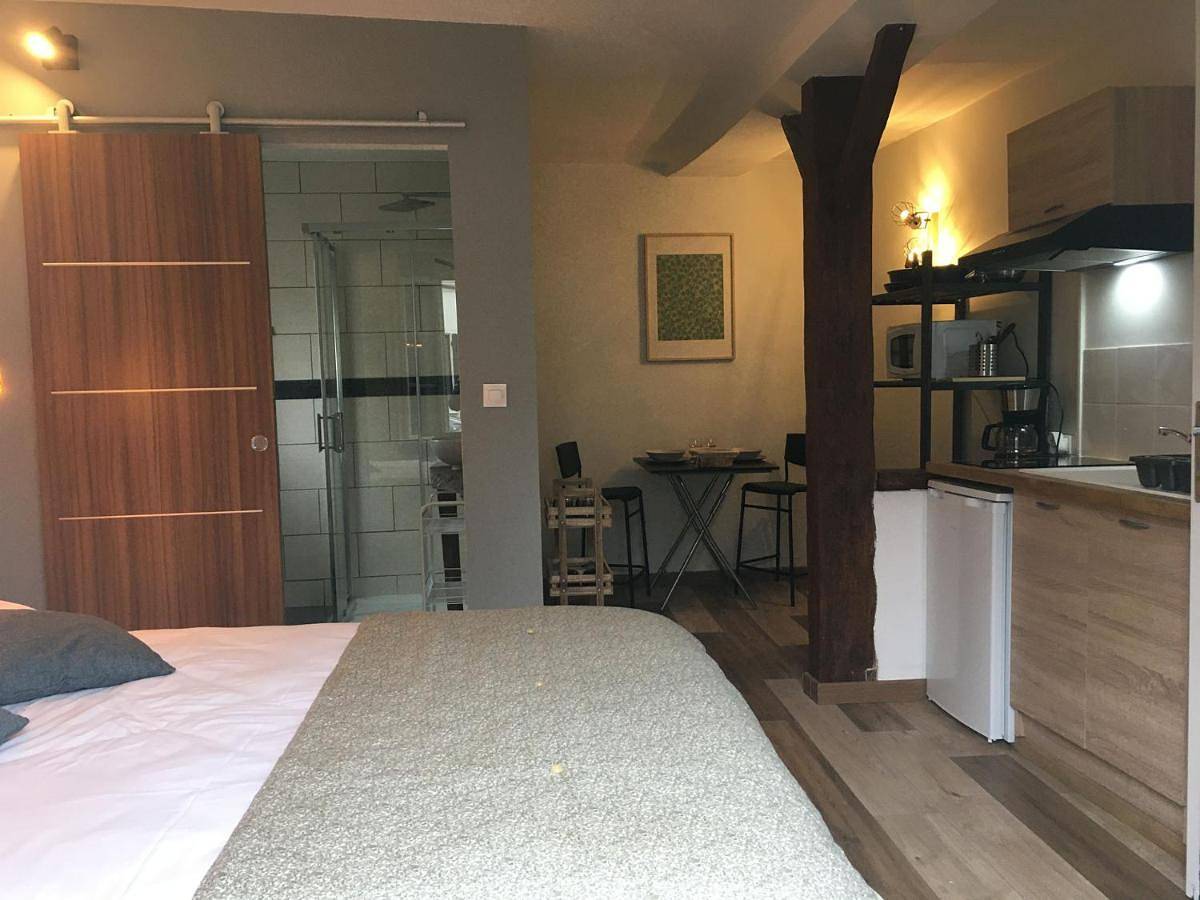 Appartement entier, Les Studios de l'Escale proche du Zoo de Beauval in Saint-Aignan, Région de Romorantin-Lanthenay