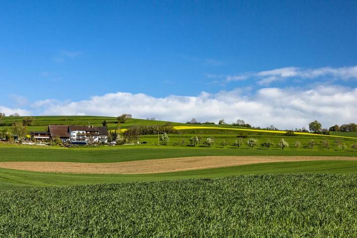 BnB für 4 Personen, mit Balkon/Terrasse und Balkon am Bodensee - 2