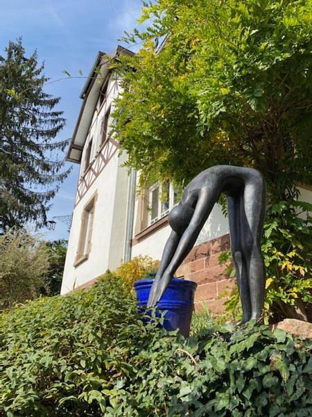 Location de vacances pour 7 personnes, avec jardin et vue à La Petite-Pierre - 3